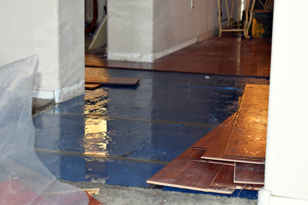 Professional Water Damage Restoration technician working in Burns, TN